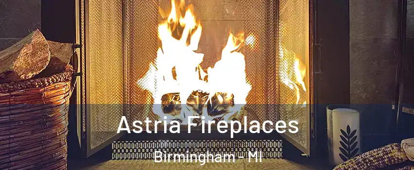  Astria Fireplaces Birmingham - MI