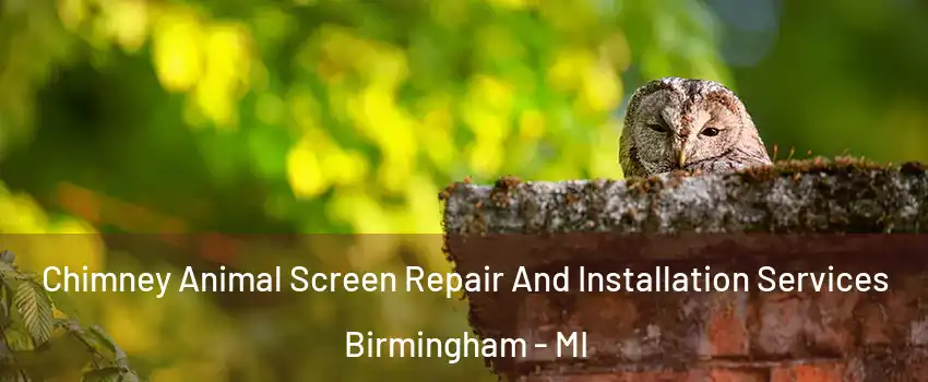  Chimney Animal Screen Repair And Installation Services Birmingham - MI