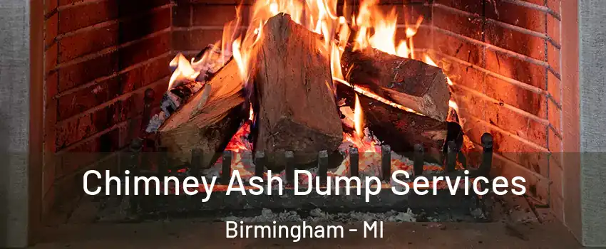  Chimney Ash Dump Services Birmingham - MI