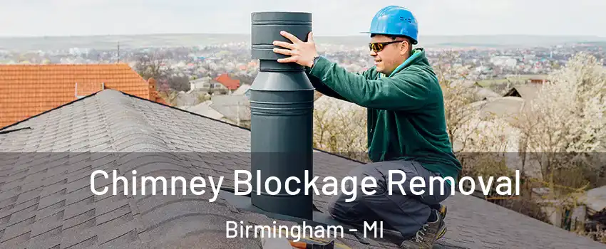  Chimney Blockage Removal Birmingham - MI
