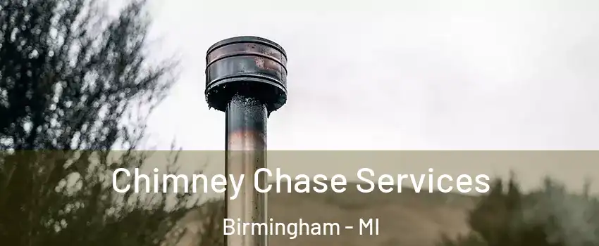  Chimney Chase Services Birmingham - MI