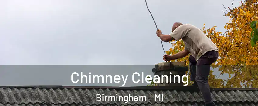  Chimney Cleaning Birmingham - MI