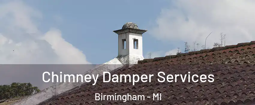  Chimney Damper Services Birmingham - MI