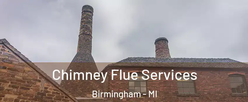 Chimney Flue Services Birmingham - MI