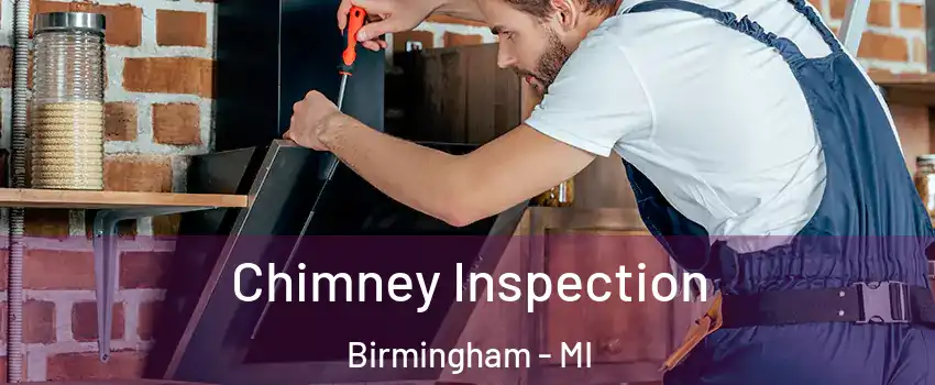  Chimney Inspection Birmingham - MI