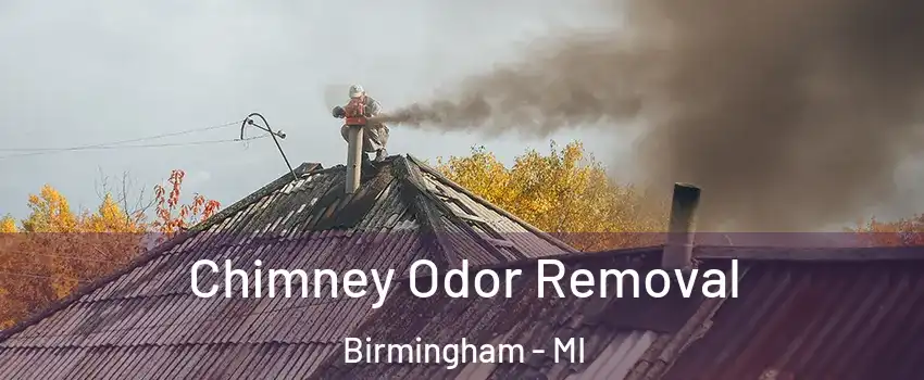  Chimney Odor Removal Birmingham - MI