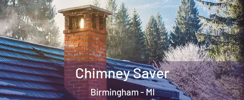  Chimney Saver Birmingham - MI