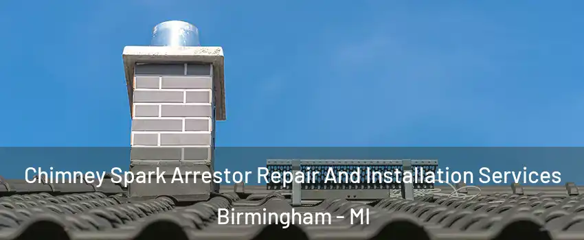  Chimney Spark Arrestor Repair And Installation Services Birmingham - MI