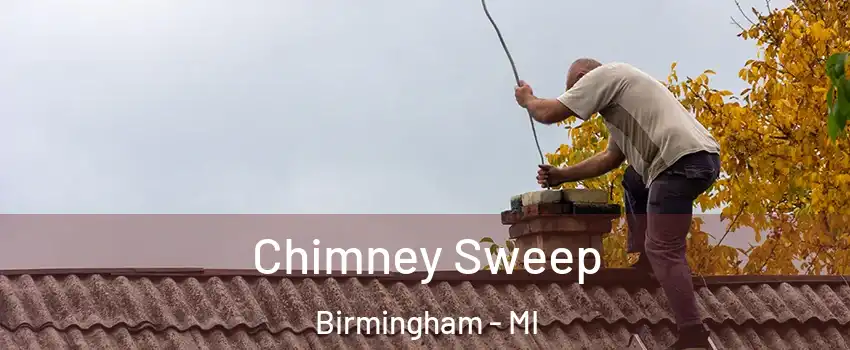  Chimney Sweep Birmingham - MI