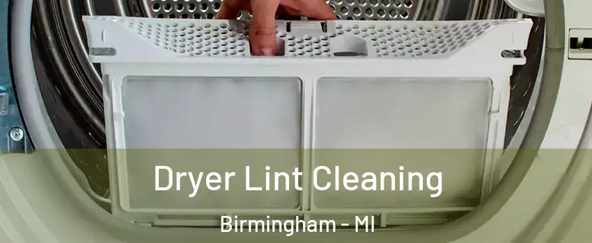 Dryer Lint Cleaning Birmingham - MI