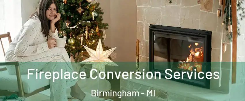  Fireplace Conversion Services Birmingham - MI