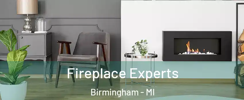  Fireplace Experts Birmingham - MI