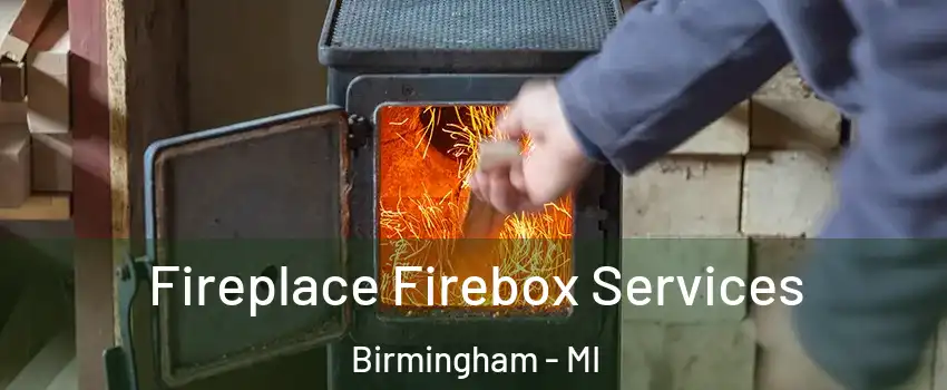  Fireplace Firebox Services Birmingham - MI