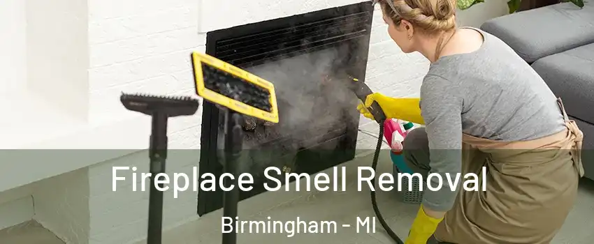  Fireplace Smell Removal Birmingham - MI