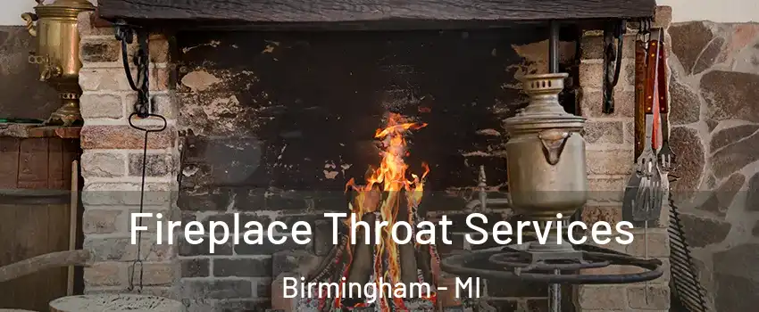  Fireplace Throat Services Birmingham - MI