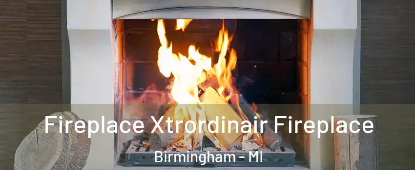  Fireplace Xtrordinair Fireplace Birmingham - MI