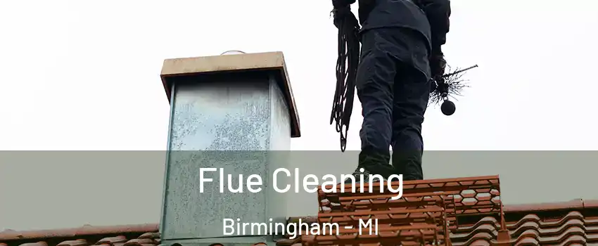  Flue Cleaning Birmingham - MI