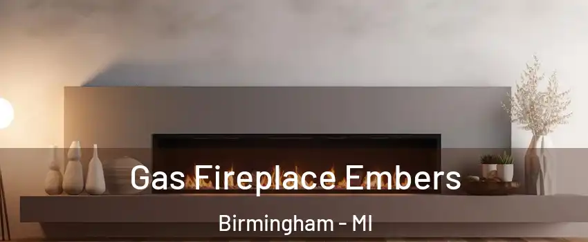  Gas Fireplace Embers Birmingham - MI
