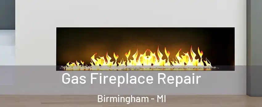  Gas Fireplace Repair Birmingham - MI