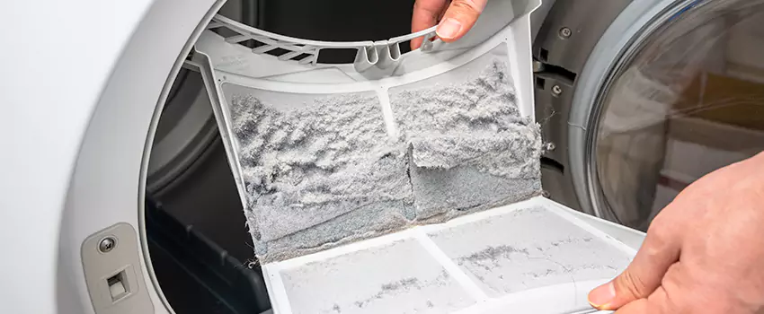 Best Dryer Lint Removal Company in Birmingham, Michigan