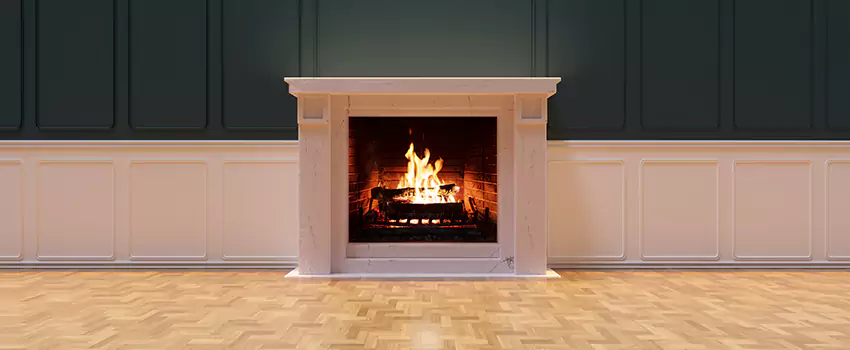 Napoleon Electric Fireplaces Inspection Service in Birmingham, Michigan