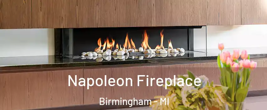  Napoleon Fireplace Birmingham - MI