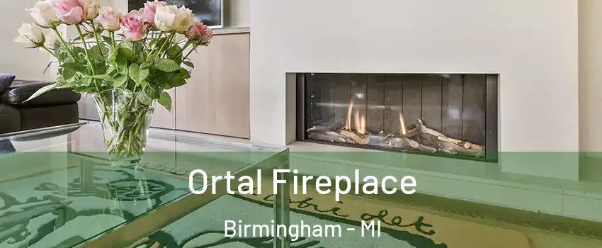 Ortal Fireplace Birmingham - MI