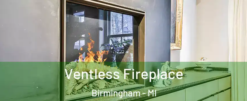  Ventless Fireplace Birmingham - MI